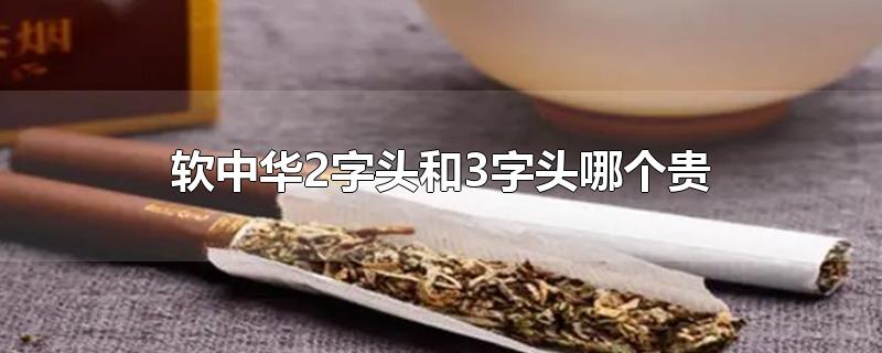 软中华2字头和3字头哪个贵-最新软中华2字头和3字头哪个贵整理解答