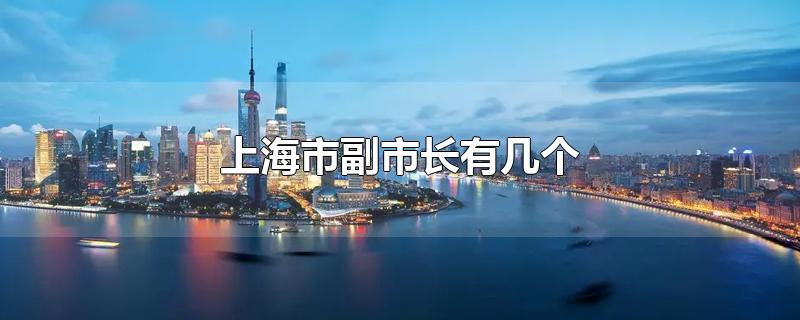 上海市副市长有几个-最新上海市副市长有几个整理解答