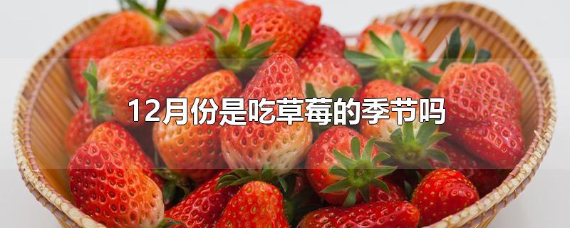 12月份是吃草莓的季节吗-最新12月份是吃草莓的季节吗整理解答