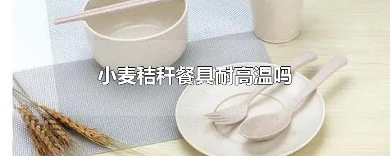 小麦秸秆餐具耐高温吗-最新小麦秸秆餐具耐高温吗整理解答