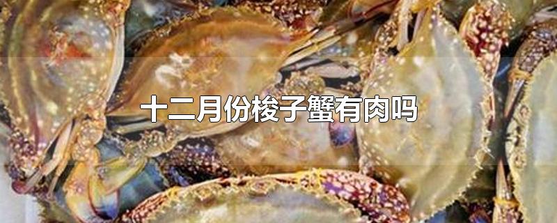 十二月份梭子蟹有肉吗-最新十二月份梭子蟹有肉吗整理解答