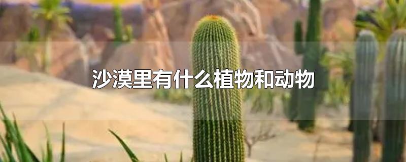 沙漠里有什么植物和动物-最新沙漠里有什么植物和动物整理解答