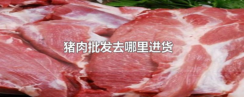 猪肉批发去哪里进货-最新猪肉批发去哪里进货整理解答