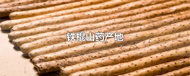 铁棍山药产地-最新铁棍山药产地整理解答