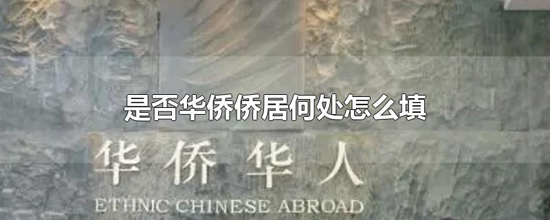 是否华侨侨居何处怎么填-最新是否华侨侨居何处怎么填整理解答