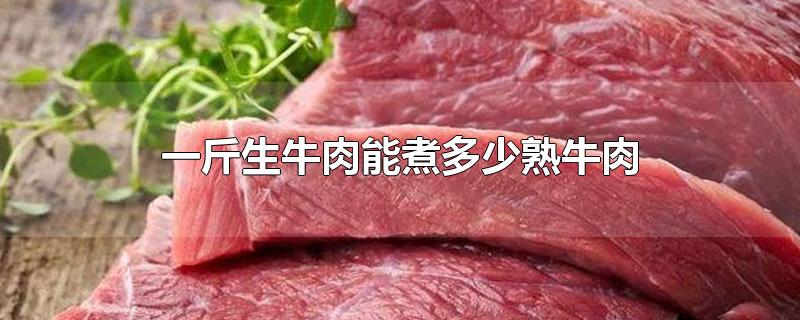 一斤生牛肉能煮多少熟牛肉-最新一斤生牛肉能煮多少熟牛肉整理解答