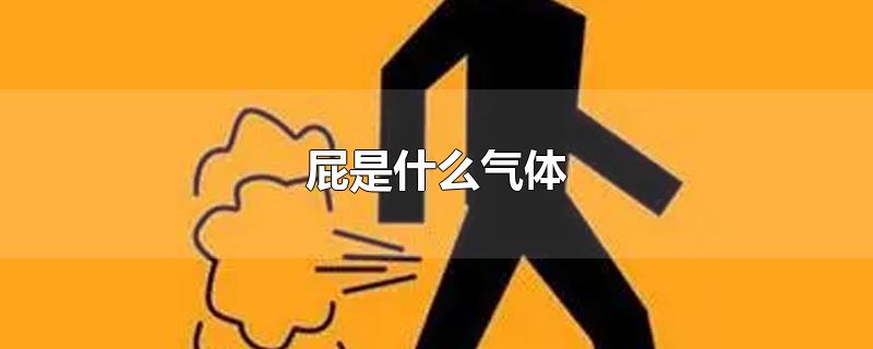 屁是什么气体-最新屁是什么气体整理解答