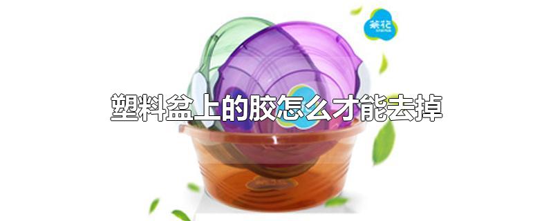 塑料盆上的胶怎么才能去掉-最新塑料盆上的胶怎么才能去掉整理解答