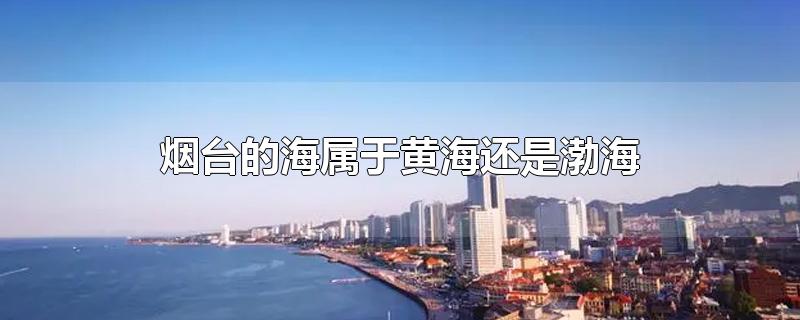 烟台的海属于黄海还是渤海-最新烟台的海属于黄海还是渤海整理解答