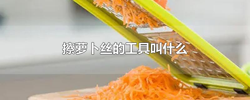 擦萝卜丝的工具叫什么-最新擦萝卜丝的工具叫什么整理解答