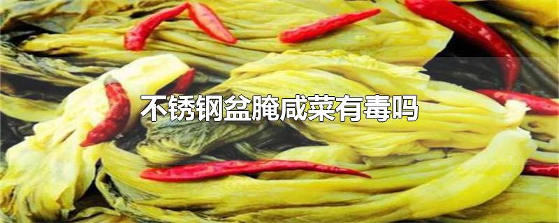 不锈钢盆腌咸菜有毒吗-最新不锈钢盆腌咸菜有毒吗整理解答