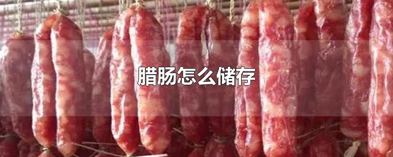 腊肠怎么储存-最新腊肠怎么储存整理解答