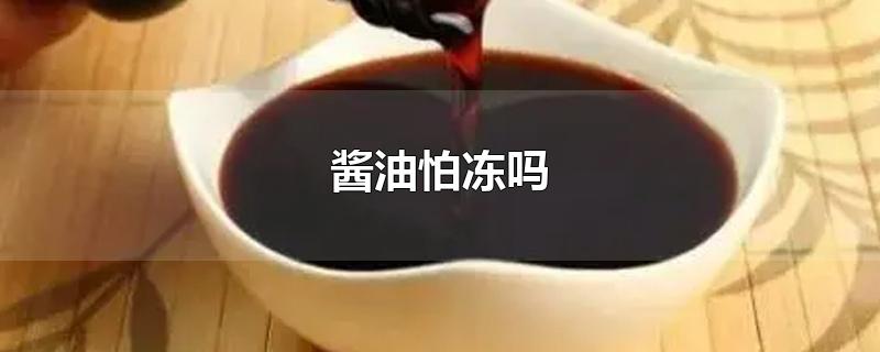 酱油怕冻吗-最新酱油怕冻吗整理解答