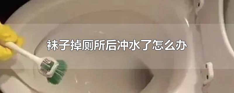 袜子掉厕所后冲水了怎么办-最新袜子掉厕所后冲水了怎么办整理解答