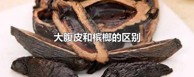 大腹皮和槟榔的区别-最新大腹皮和槟榔的区别整理解答