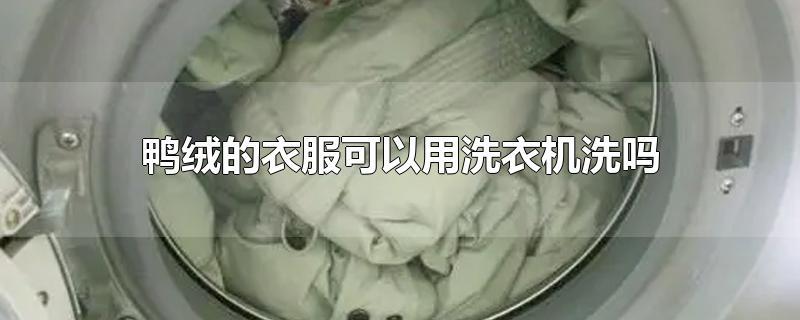 鸭绒的衣服可以用洗衣机洗吗-最新鸭绒的衣服可以用洗衣机洗吗整理解答