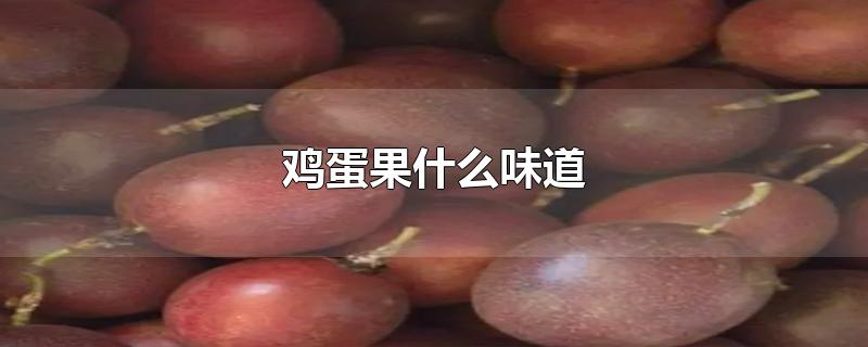 鸡蛋果什么味道