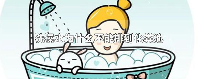 洗澡水为什么不能排到化粪池