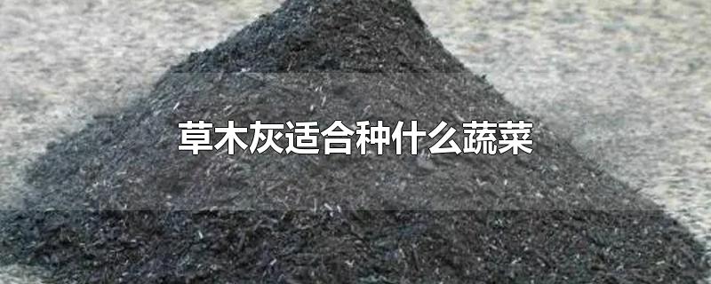 草木灰适合种什么蔬菜-最新草木灰适合种什么蔬菜整理解答