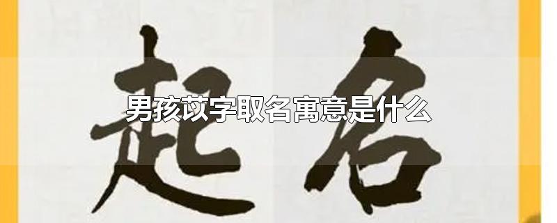 男孩苡字取名寓意是什么