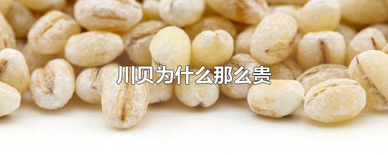 川贝为什么那么贵-最新川贝为什么那么贵整理解答