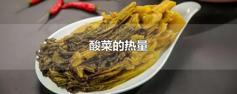 酸菜的热量-最新酸菜的热量整理解答