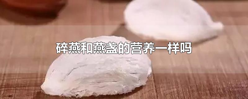 碎燕和燕盏的营养一样吗-最新碎燕和燕盏的营养一样吗整理解答