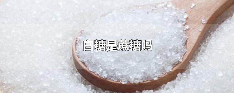 白糖是蔗糖吗