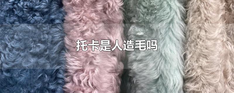 托卡是人造毛吗