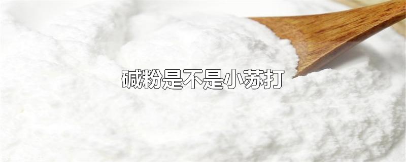 碱粉是不是小苏打