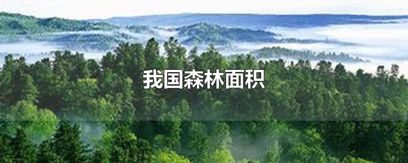 我国森林面积