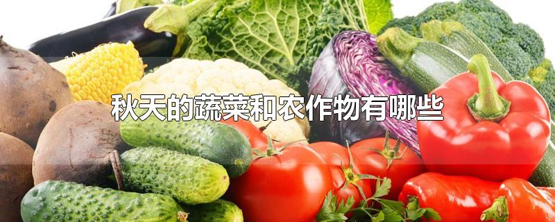秋天的蔬菜和农作物有哪些-最新秋天的蔬菜和农作物有哪些整理解答