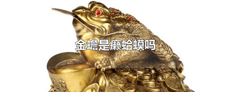 金蟾是癞蛤蟆吗-最新金蟾是癞蛤蟆吗整理解答