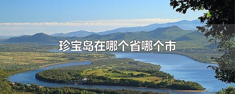 珍宝岛在哪个省哪个市-最新珍宝岛在哪个省哪个市整理解答