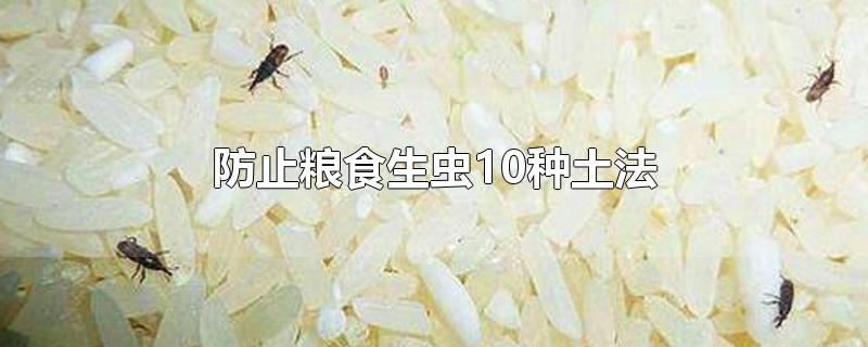 防止粮食生虫10种土法-最新防止粮食生虫10种土法整理解答