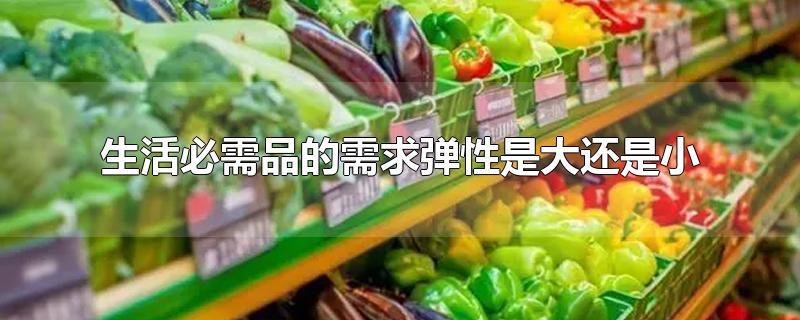 生活必需品的需求弹性是大还是小-最新生活必需品的需求弹性是大还是小整理解答