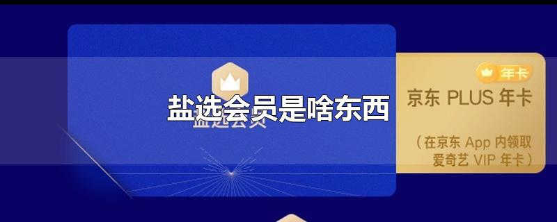 盐选会员是啥东西-最新盐选会员是啥东西整理解答