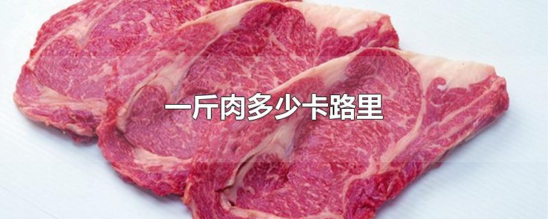 一斤肉多少卡路里-最新一斤肉多少卡路里整理解答