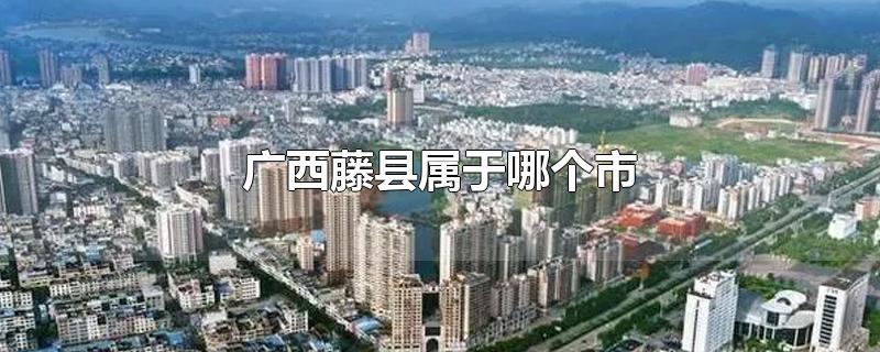 广西藤县属于哪个市-最新广西藤县属于哪个市整理解答