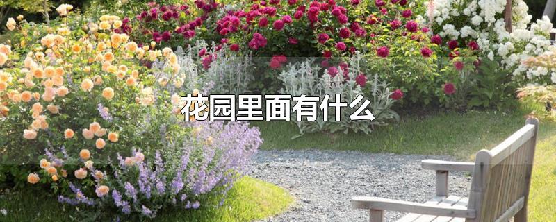 花园里面有什么-最新花园里面有什么整理解答