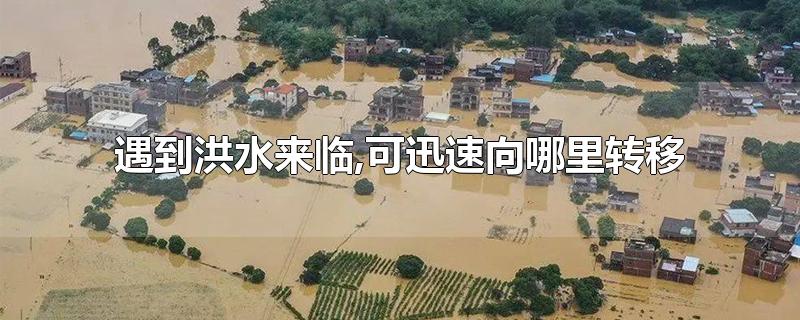 遇到洪水来临,可迅速向哪里转移-最新遇到洪水来临,可迅速向哪里转移整理解答