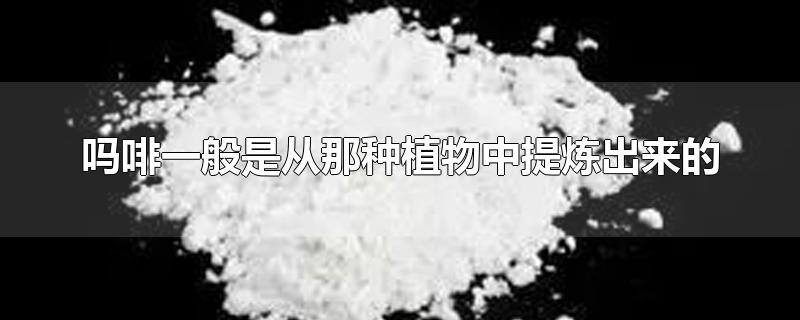 吗啡一般是从那种植物中提炼出来的-最新吗啡一般是从那种植物中提炼出来的整理解答