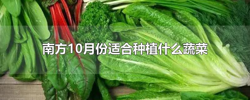 南方10月份适合种植什么蔬菜-最新南方10月份适合种植什么蔬菜整理解答