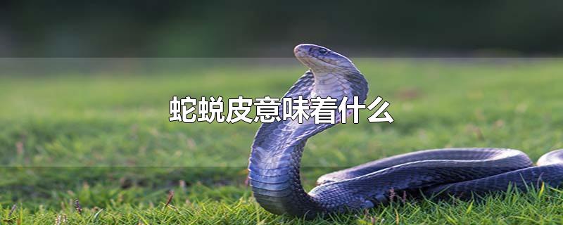 蛇蜕皮意味着什么-最新蛇蜕皮意味着什么整理解答