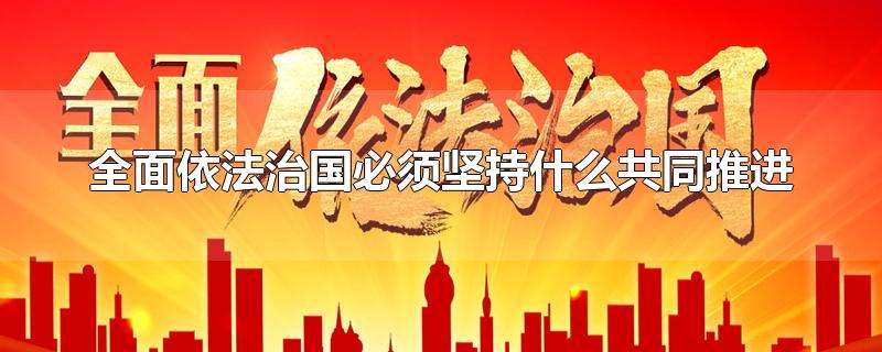 全面依法治国必须坚持什么共同推进