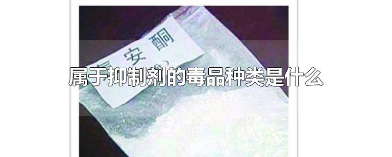 属于抑制剂的毒品种类是什么