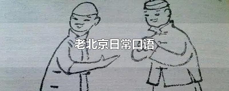 老北京日常口语