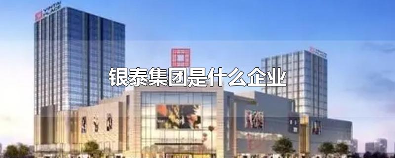 银泰集团是什么企业