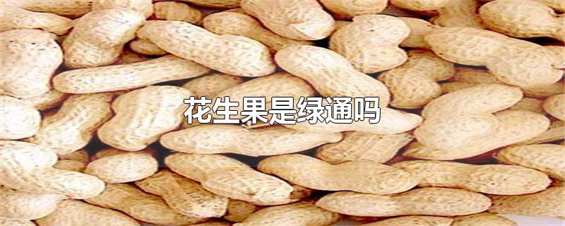 花生果是绿通吗