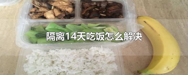 隔离14天吃饭怎么解决-最新隔离14天吃饭怎么解决整理解答